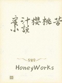 蜜汁樱桃苦咖啡小说