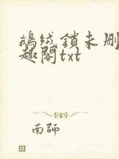 鹅绒锁未删除笔趣阁txt