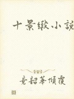 十景缎小说