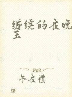 缠绕的夜晚双男主