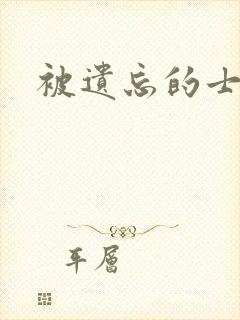被遗忘的士兵