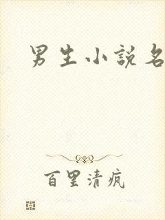 男生小说名字