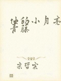 他的小月亮by青藤