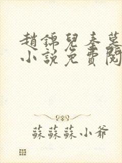 赵锦儿秦慕修的小说免费阅读全文