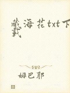 藏海花txt下载