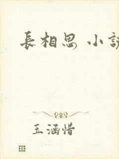长相思 小说