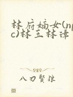 林府嫡女(npc)林玉林璋