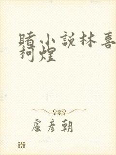 赌小说林喜朝和柯煜