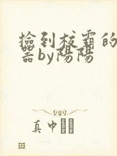 捡到校霸的遥控器by阳阳