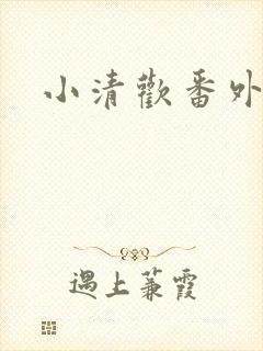 小清欢番外