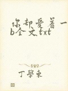 你却爱着一个sb全文txt