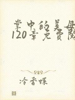 掌中的美母版主120章免费阅读