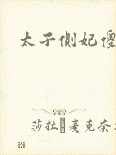 太子侧妃傻乎乎