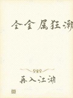 全金属狂潮小说