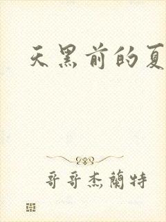 天黑前的夏天