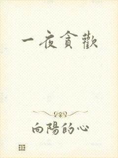 一夜贪欢封面