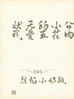 状元的小公主(我爱五花肉)