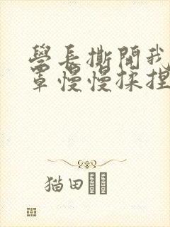 学长撕开我的乳罩慢慢揉捏小说