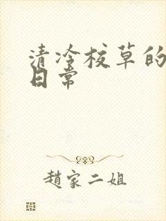 清冷校草的抹布日常