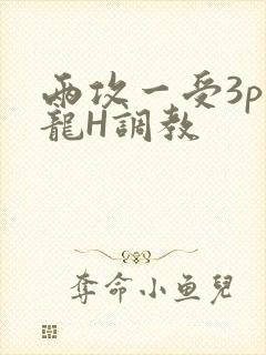 两攻一受3p双龙H调教