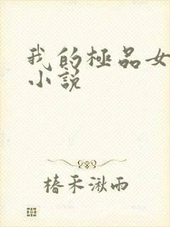 我的极品女老师小说
