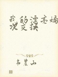 我的漂亮娇妻初次交换