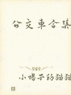 公交车合集