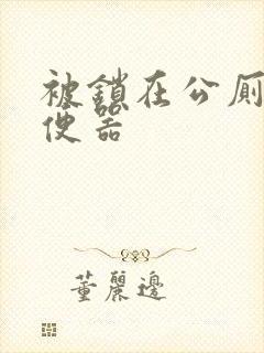 被锁在公厕当坐便器