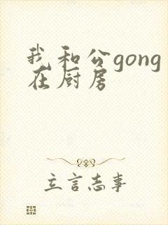我和公gong在厨房