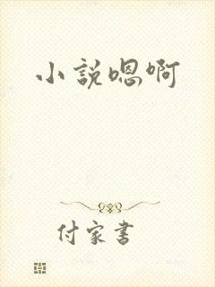 小说嗯啊