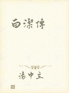 白洁传