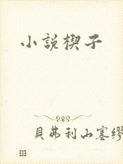 小说楔子