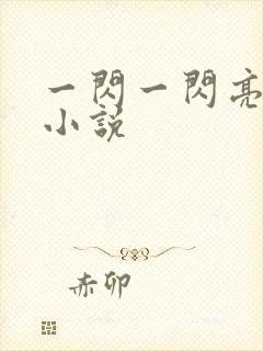 一闪一闪亮星星小说