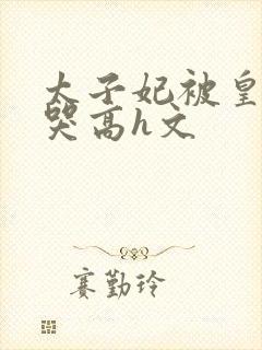 太子妃被皇上c哭高h文