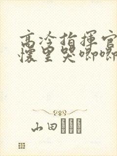 高冷指挥官在我怀里哭唧唧第二季