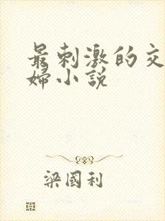 最刺激的交换夫妇小说
