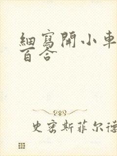 细写开小车车的百合