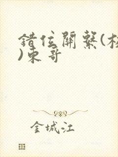 错位关系(校园)东哥