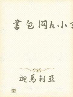 书包网h小说