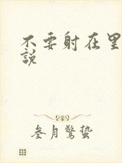 不要射在里面小说