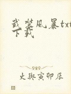 武装风暴txt下载