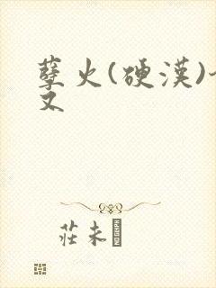 孽火(硬汉)今又