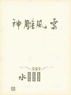 神雕风云