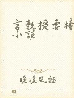 言教授要撞坏了小说