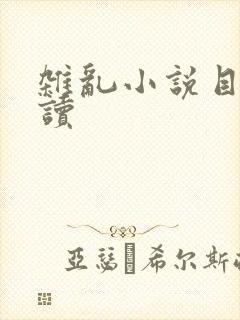 杂乱小说目录阅读