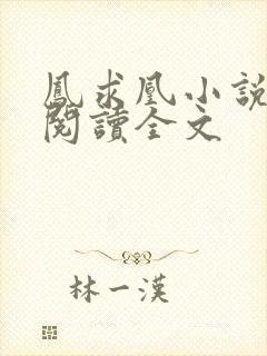 凤求凰小说免费阅读全文