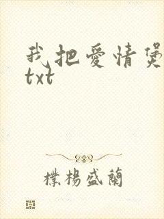 我把爱情煲成汤txt