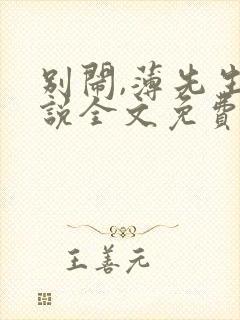 别闹,薄先生小说全文免费阅读