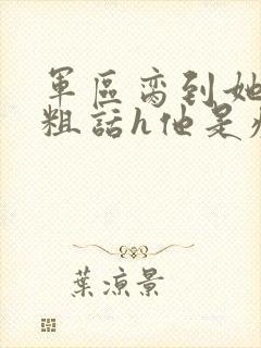 军区脔到她哭h粗话h他是疯批