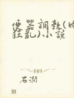 便器调教(肉体狂乱)小说